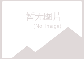 黑龙江紫山化学有限公司